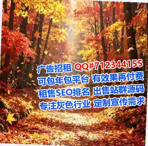 武汉代母系统集成经营部
